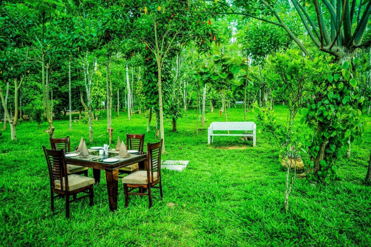 Yellow Lake Resorts - Yercaud